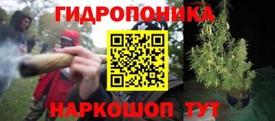 спиды Кандалакша